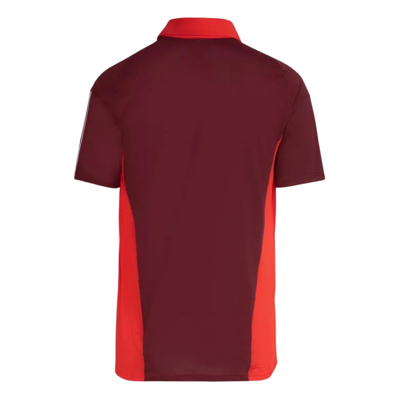 Camisa Internacional 24/25 - Polo Passeio