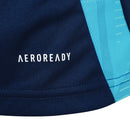 Camisa Masculina Flamengo Treino 25/26